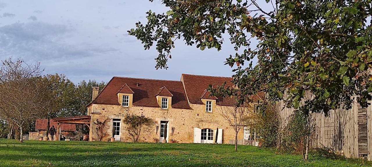 Saint-Avit-Sénieur Britavit B&B 외부 사진
