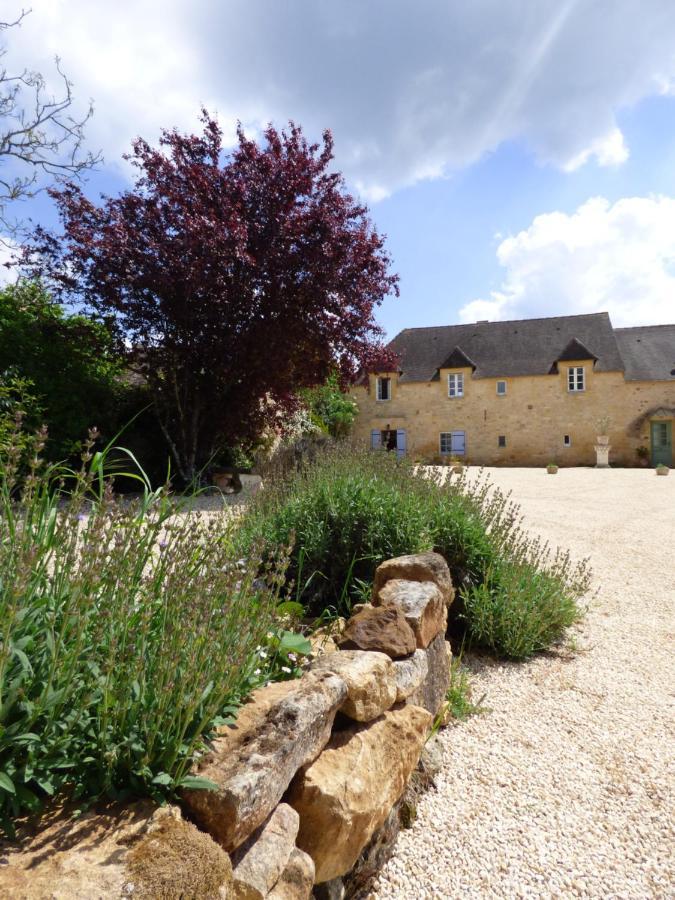 Saint-Avit-Sénieur Britavit B&B 외부 사진