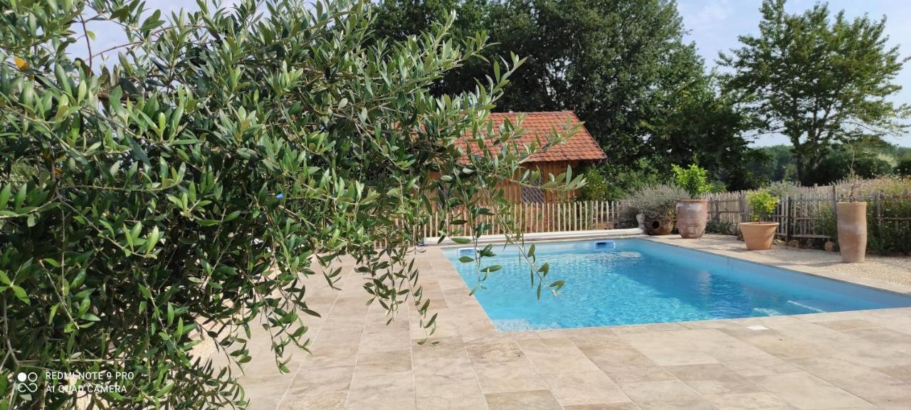 Saint-Avit-Sénieur Britavit B&B 외부 사진