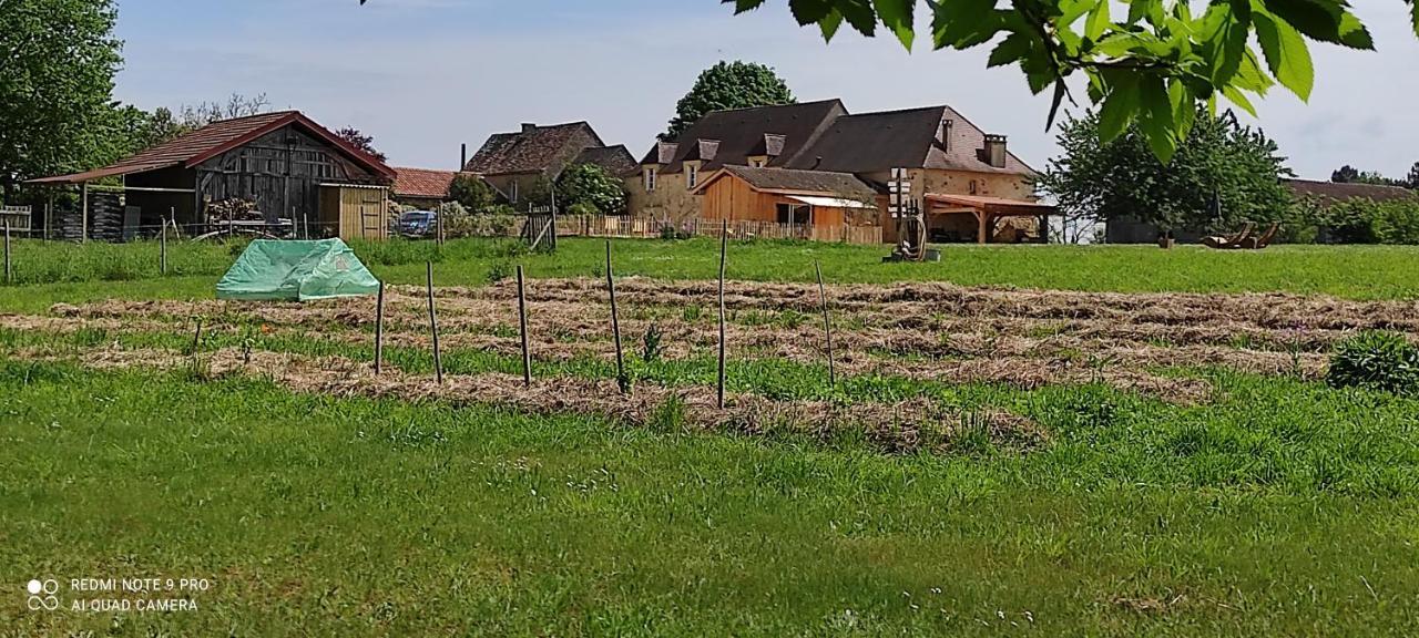 Saint-Avit-Sénieur Britavit B&B 외부 사진