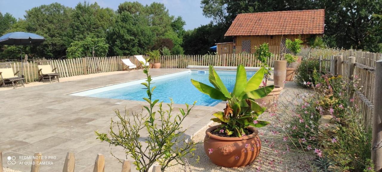 Saint-Avit-Sénieur Britavit B&B 외부 사진